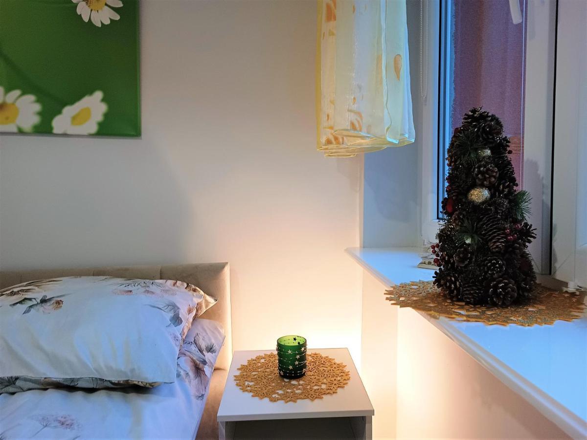 Szmaragdowy Apartament Przy Ulicy Opolskiej Tarnowskie Góry Kültér fotó