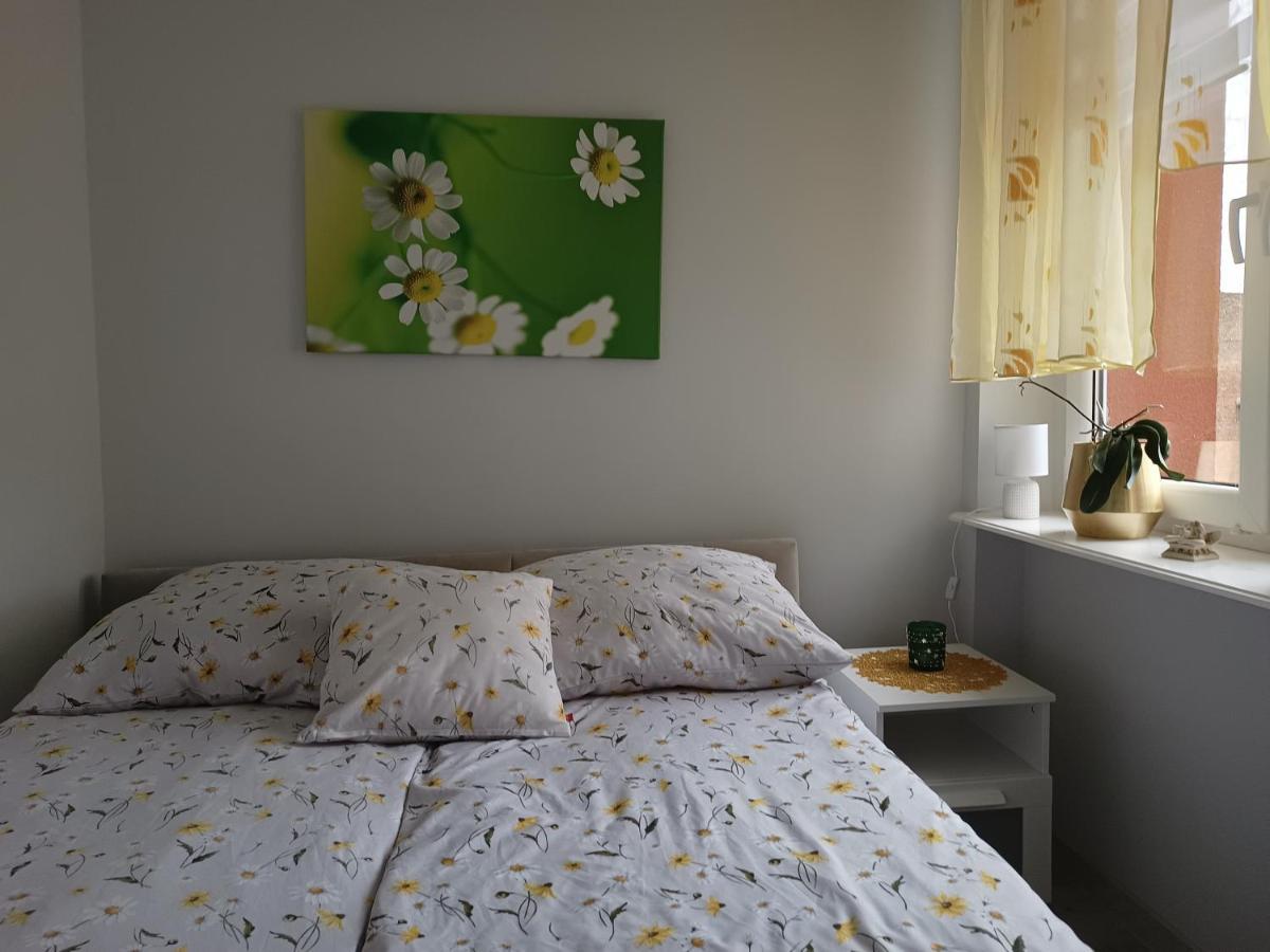 Szmaragdowy Apartament Przy Ulicy Opolskiej Tarnowskie Góry Kültér fotó